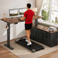 Executive Wood Standing Desk + Walking Pad Treadmill