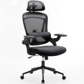 Ergonomic Adjustable Mesh Lumbar Support Office Chair